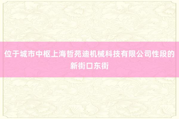 位于城市中枢上海哲苑迪机械科技有限公司性段的新街口东街